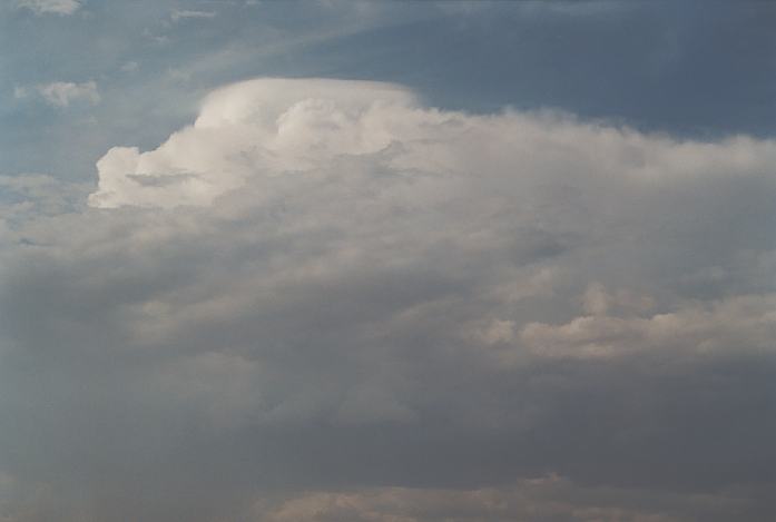 thunderstorm cumulonimbus_incus : Schofields, NSW   19 March 2002