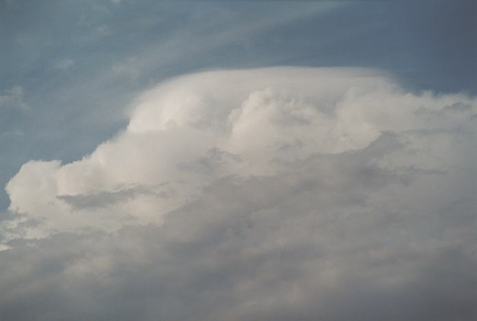 thunderstorm cumulonimbus_incus : Schofields, NSW   19 March 2002