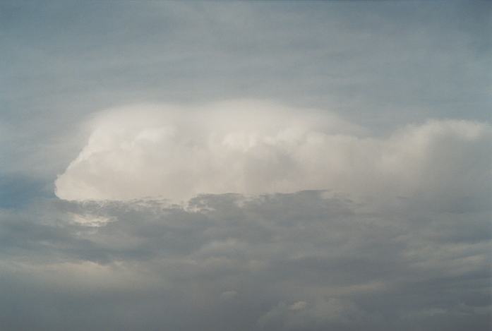 altocumulus altocumulus_cloud : Schofields, NSW   19 March 2002