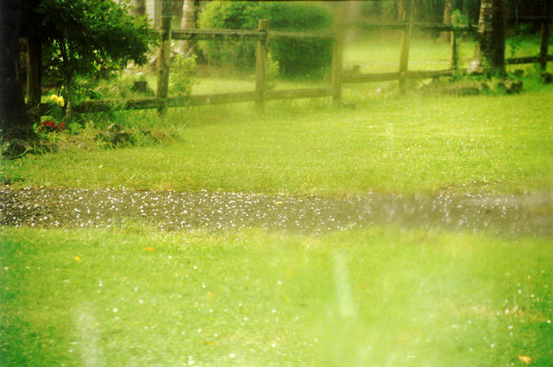 hailstones hail_stones : Tregeagle, NSW   26 March 2002