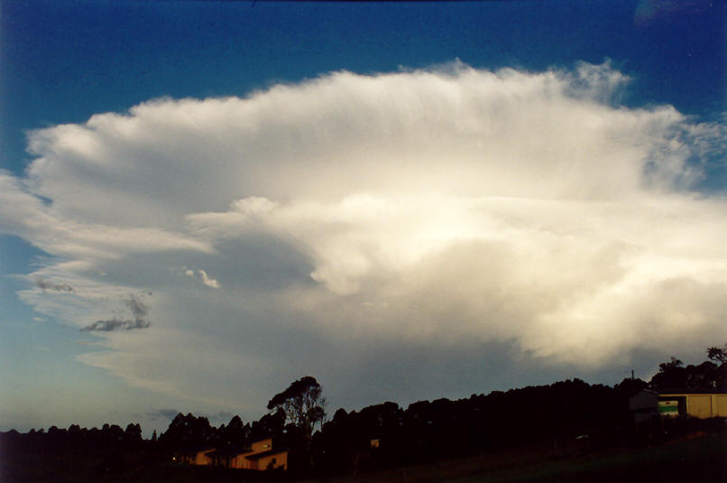 anvil thunderstorm_anvils : McLeans Ridges, NSW   26 March 2002