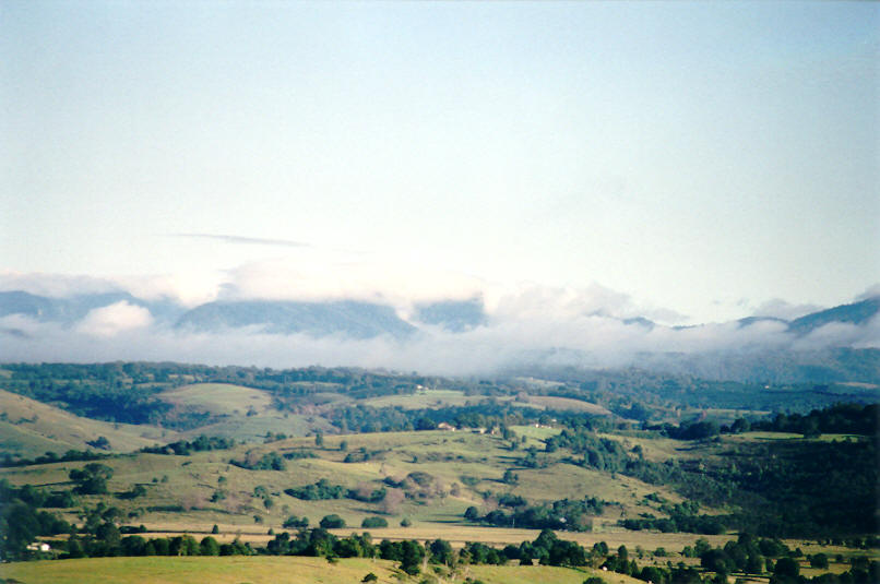 fogmist fog_mist_frost : McLeans Ridges, NSW   30 March 2002