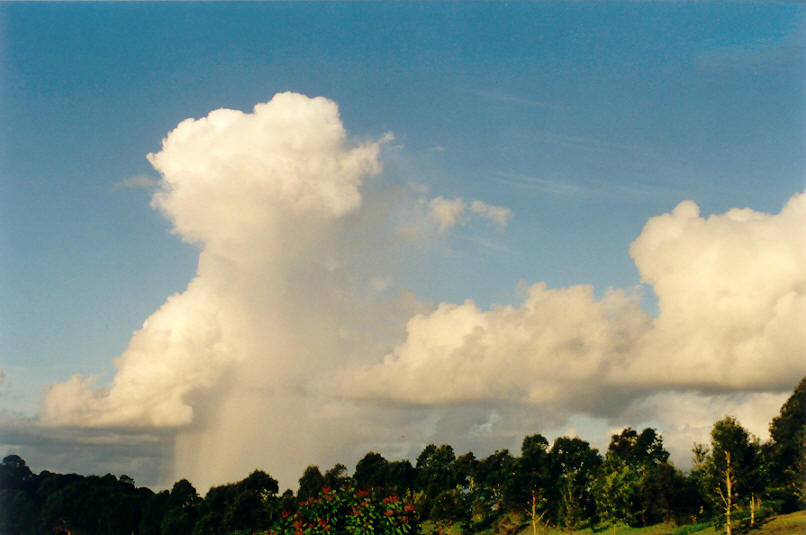 cumulus congestus : McLeans Ridges, NSW   14 April 2002