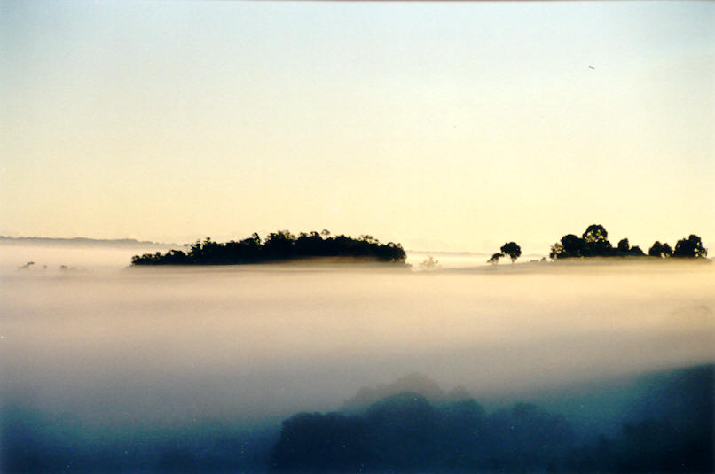 favourites michael_bath : McLeans Ridges, NSW   26 April 2002