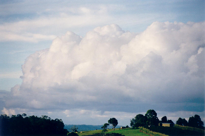 cumulus congestus : McLeans Ridges, NSW   7 May 2002
