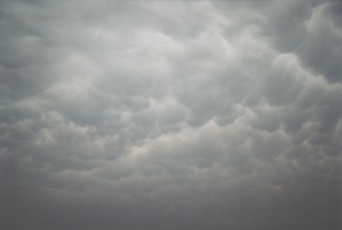 mammatus mammatus_cloud : north of Witchita, Kansas, USA   11 May 2002