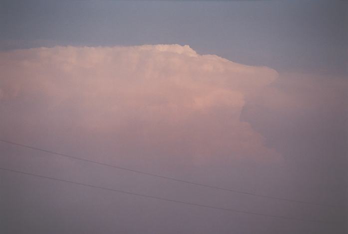 thunderstorm cumulonimbus_incus : S of Booker, NW Texas, USA   16 May 2002