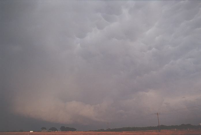 mammatus mammatus_cloud : near Kirkland, Texas, USA   24 May 2002