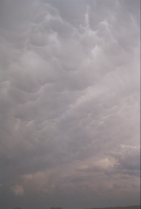 mammatus mammatus_cloud : near Kirkland, Texas, USA   24 May 2002