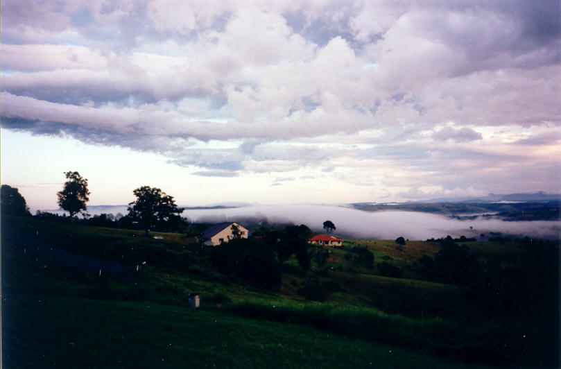 fogmist fog_mist_frost : McLeans Ridges, NSW   1 June 2002