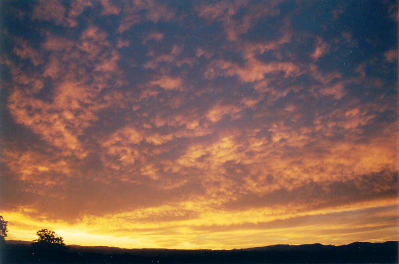 sunset sunset_pictures : McLeans Ridges, NSW   11 June 2002