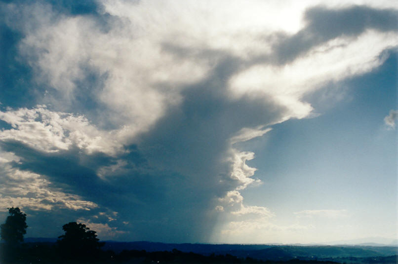 anvil thunderstorm_anvils : McLeans Ridges, NSW   16 June 2002