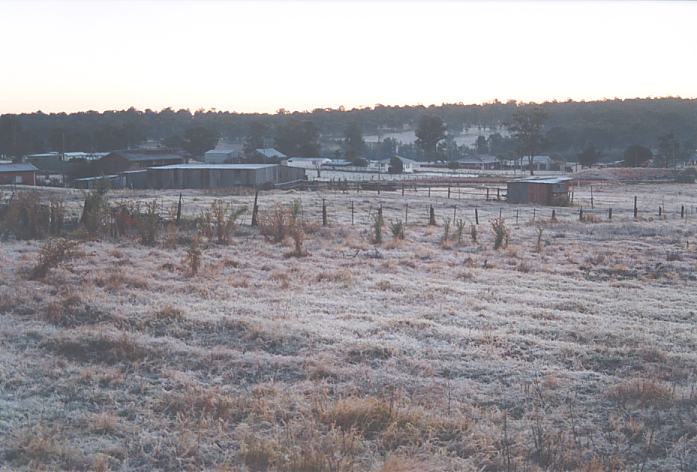 fogmist fog_mist_frost : Schofields, NSW   12 July 2002