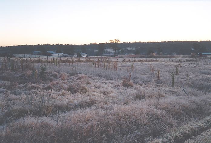 fogmist fog_mist_frost : Schofields, NSW   12 July 2002