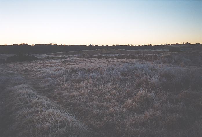 fogmist fog_mist_frost : Schofields, NSW   12 July 2002