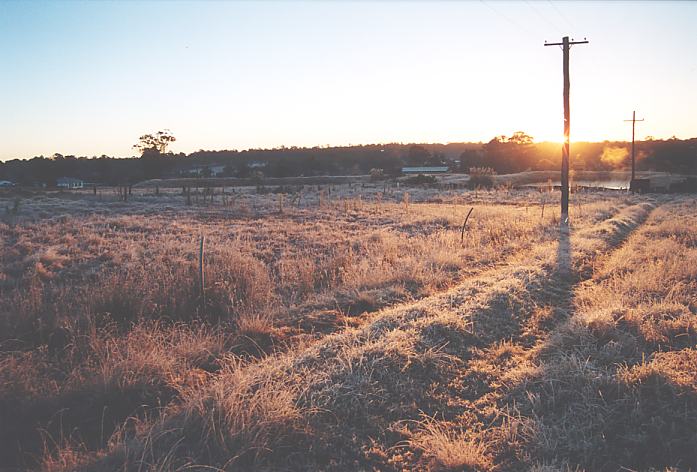 fogmist fog_mist_frost : Schofields, NSW   12 July 2002