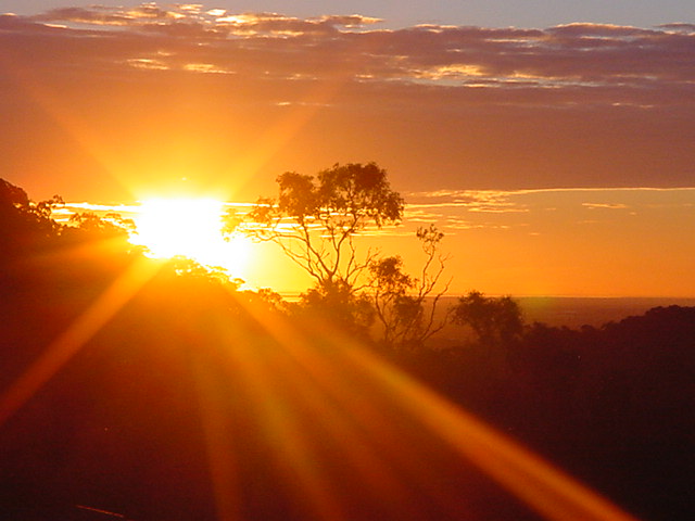 contributions received : Golden Grove, SA<BR>Photo by Cliff Beale   1 August 2002