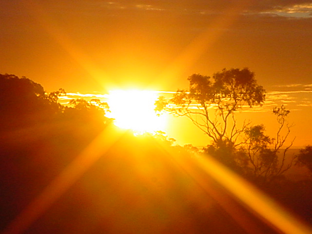 contributions received : Golden Grove, SA<BR>Photo by Cliff Beale   1 August 2002