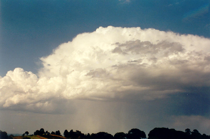 raincascade precipitation_cascade : McLeans Ridges, NSW   7 September 2002