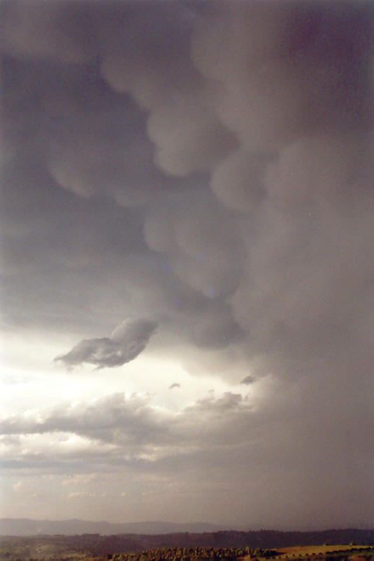 mammatus mammatus_cloud : McLeans Ridges, NSW   23 September 2002