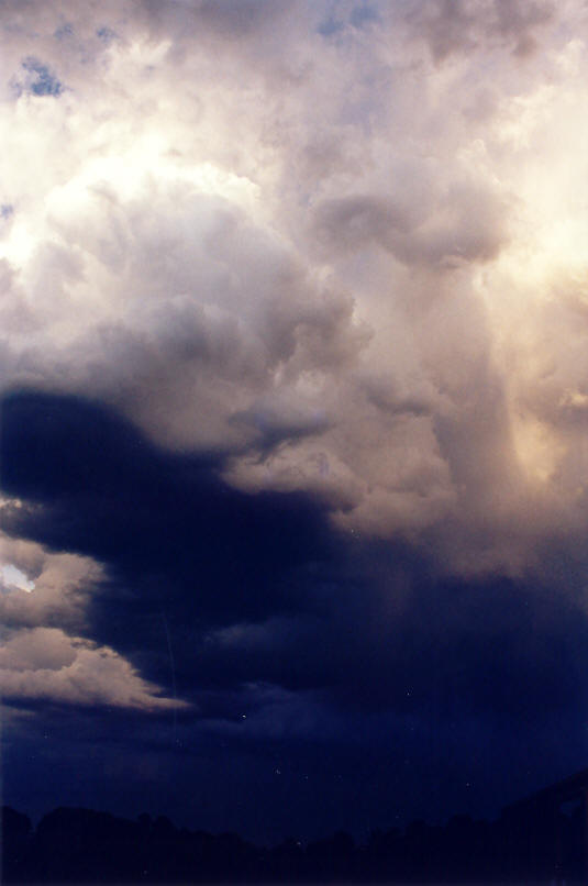 cumulus congestus : McLeans Ridges, NSW   23 September 2002