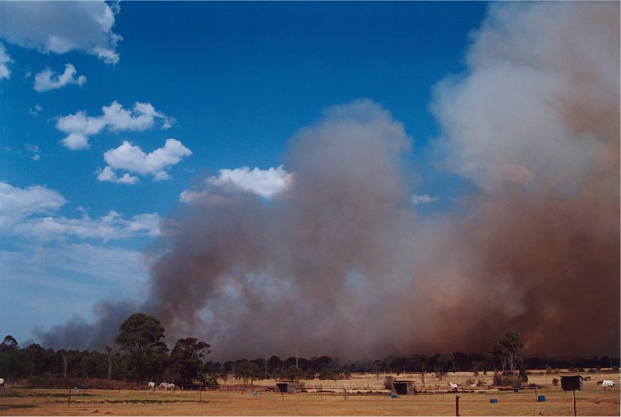 bushfire wild_fire : Rooty Hill, NSW   4 October 2002