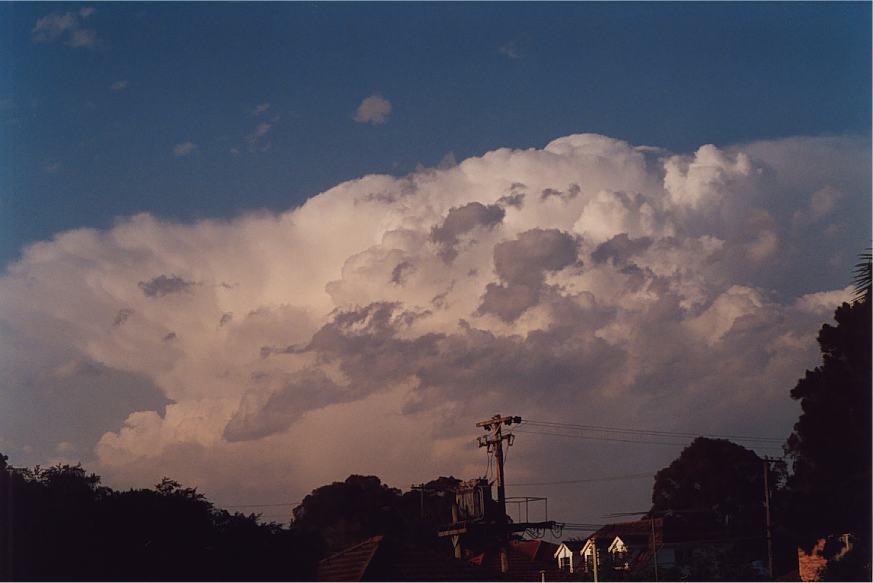 thunderstorm cumulonimbus_incus : Padstow, NSW   5 October 2002