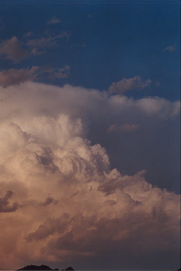 thunderstorm cumulonimbus_incus : Padstow, NSW   5 October 2002