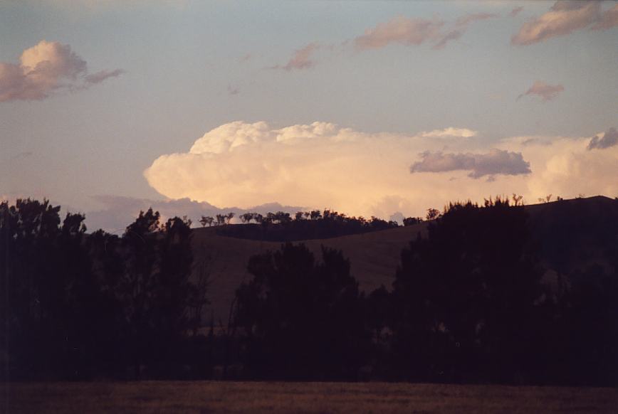 cumulonimbus supercell_thunderstorm : Jerrys Plains, NSW   13 October 2002