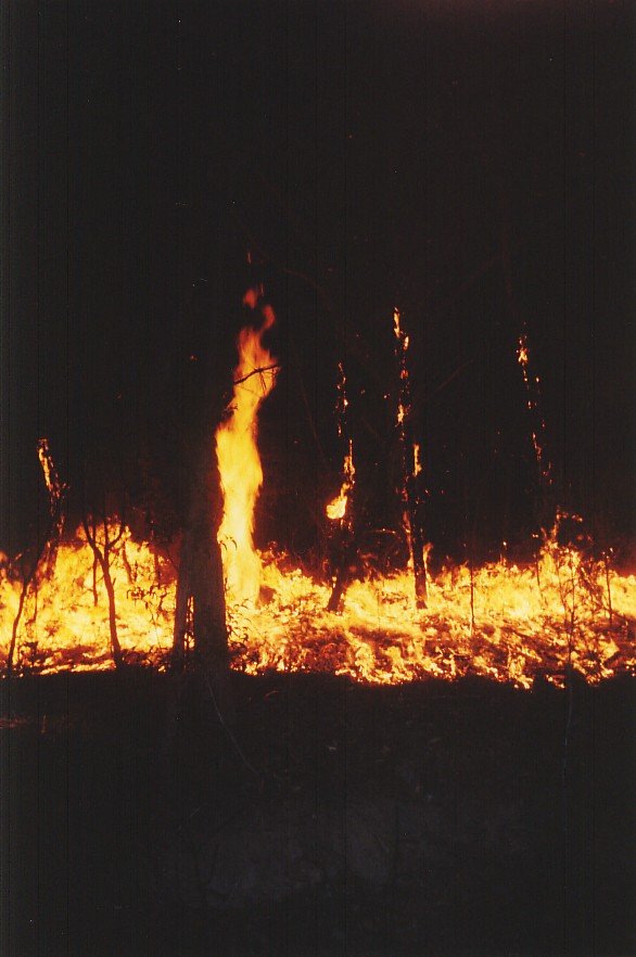 contributions received : Mt Yengo National Park, NSW<BR>Photo by Brett Vilnis   14 October 2002