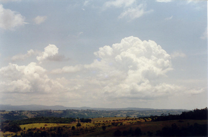 cumulus congestus : McLeans Ridges, NSW   14 November 2002