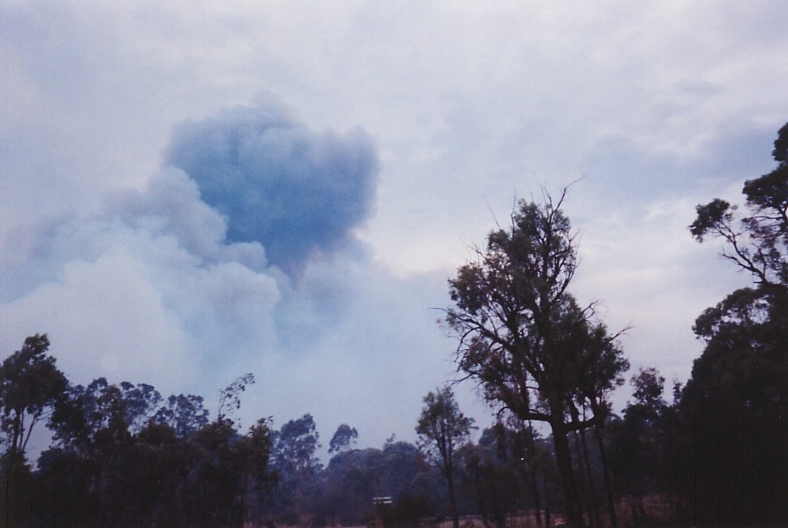 contributions received : Londonderry fires, NSW<BR>Photo by Brett Vilnis   26 November 2002