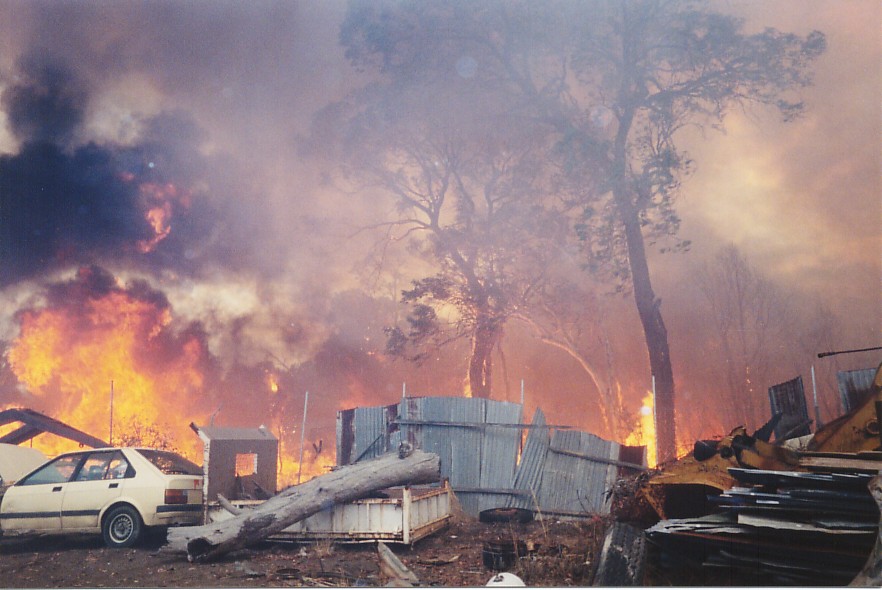 contributions received : Londonderry fires, NSW<BR>Photo by Brett Vilnis   26 November 2002