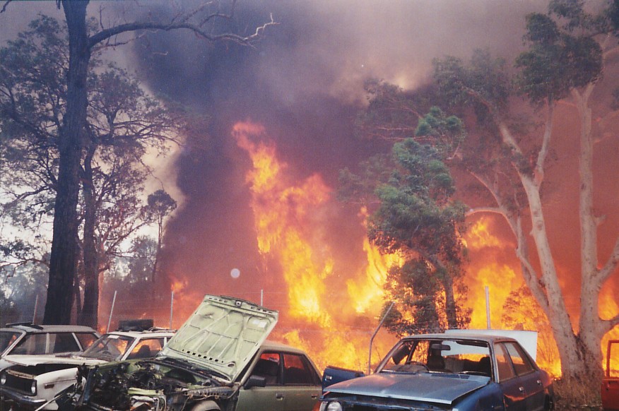 contributions received : Londonderry fires, NSW<BR>Photo by Brett Vilnis   26 November 2002