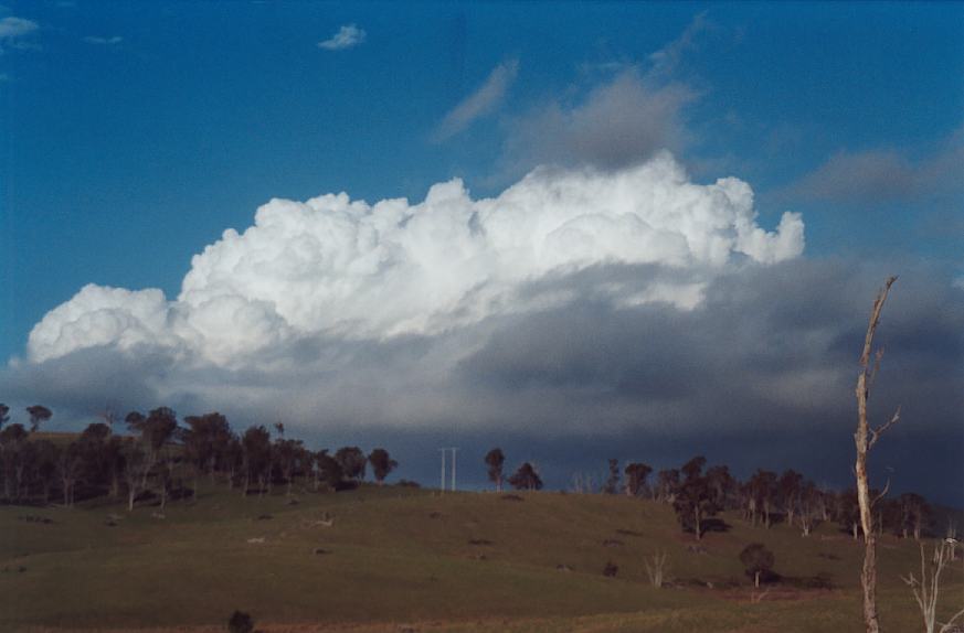 contributions received : W of Ebor, NSW<BR>Photo by John Sweatman   28 November 2002