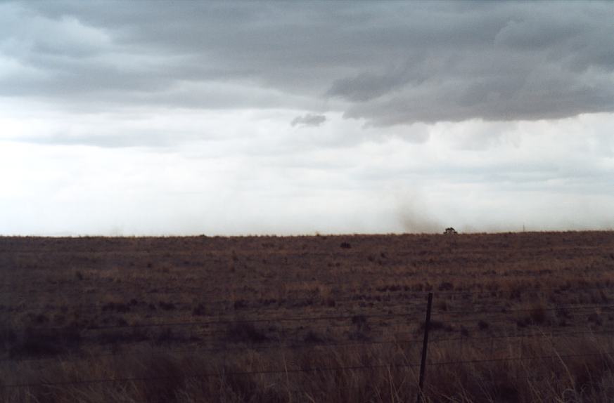 contributions received : W of Tamworth, NSW<BR>Photo by John Sweatman   29 November 2002