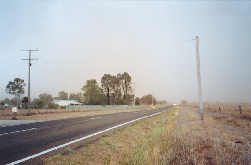 contributions received : W of Tamworth, NSW<BR>Photo by John Sweatman   29 November 2002