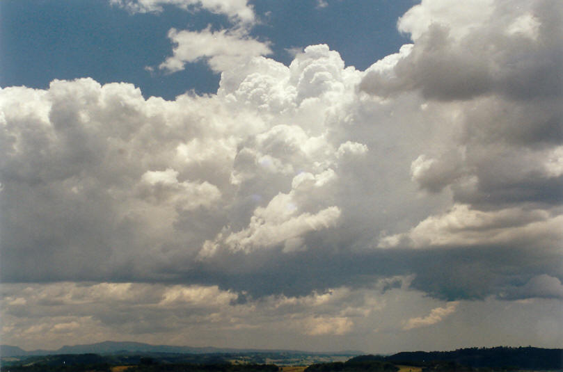 cumulus congestus : McLeans Ridges, NSW   30 November 2002