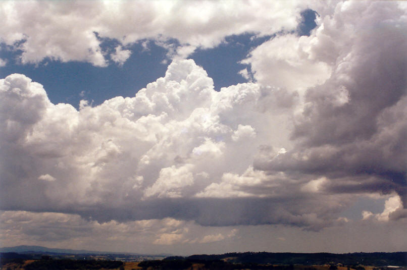 thunderstorm cumulonimbus_calvus : McLeans Ridges, NSW   30 November 2002