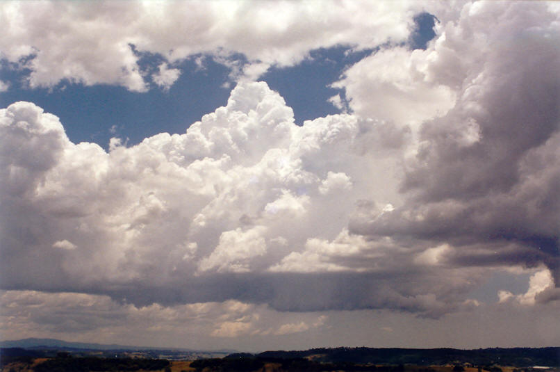 cumulus congestus : McLeans Ridges, NSW   30 November 2002