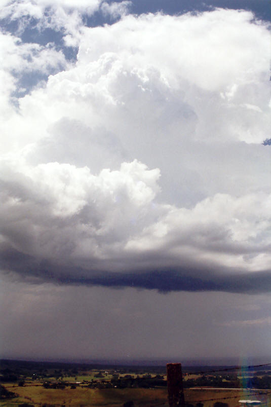 cumulus congestus : Saint Helena, NSW   30 November 2002