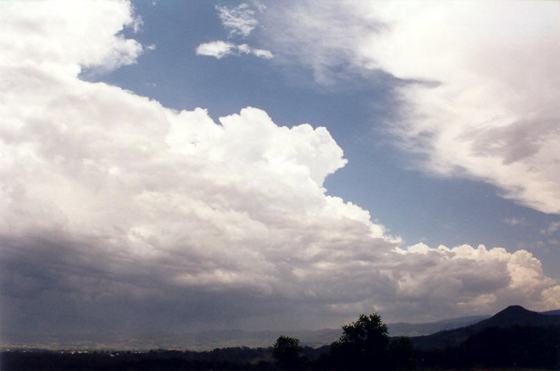 thunderstorm cumulonimbus_incus : Brunswick Heads, NSW   30 November 2002