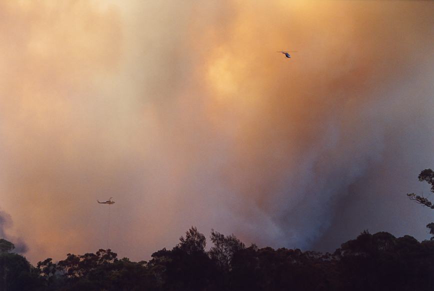 bushfire wild_fire : Glenorie, NSW   4 December 2002