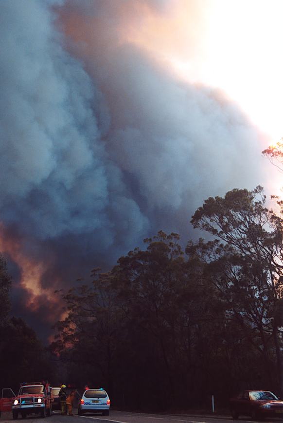 bushfire wild_fire : Glenorie, NSW   4 December 2002