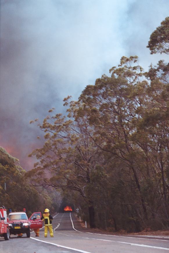 bushfire wild_fire : Glenorie, NSW   4 December 2002