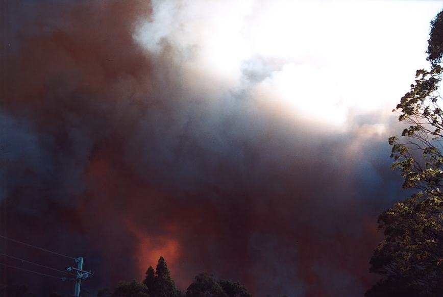 bushfire wild_fire : Glenorie, NSW   4 December 2002