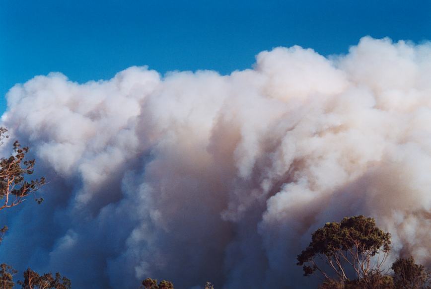 bushfire wild_fire : further N of Glenorie, NSW   4 December 2002