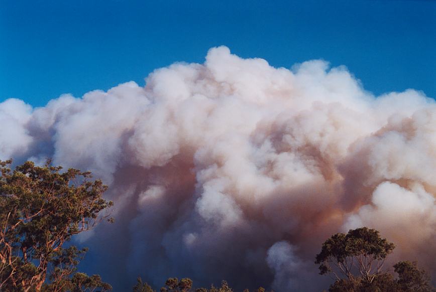 bushfire wild_fire : further N of Glenorie, NSW   4 December 2002