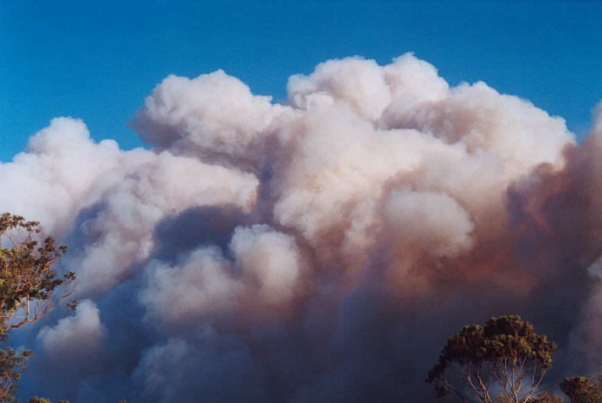 bushfire wild_fire : further N of Glenorie, NSW   4 December 2002