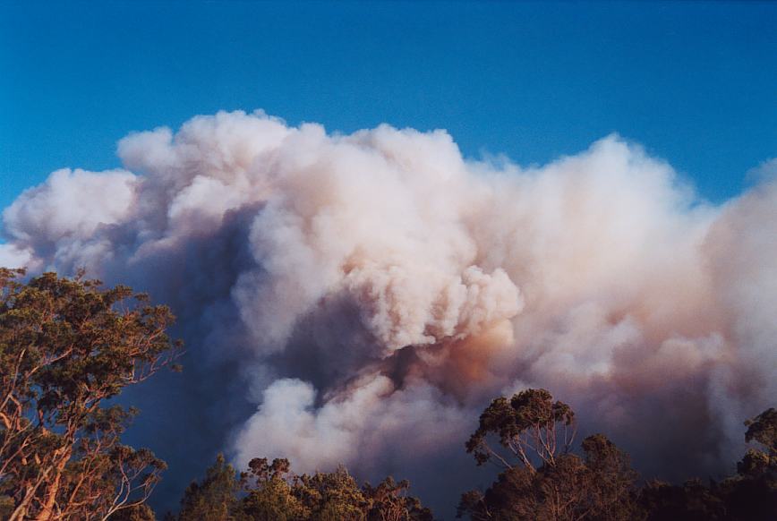 bushfire wild_fire : further N of Glenorie, NSW   4 December 2002